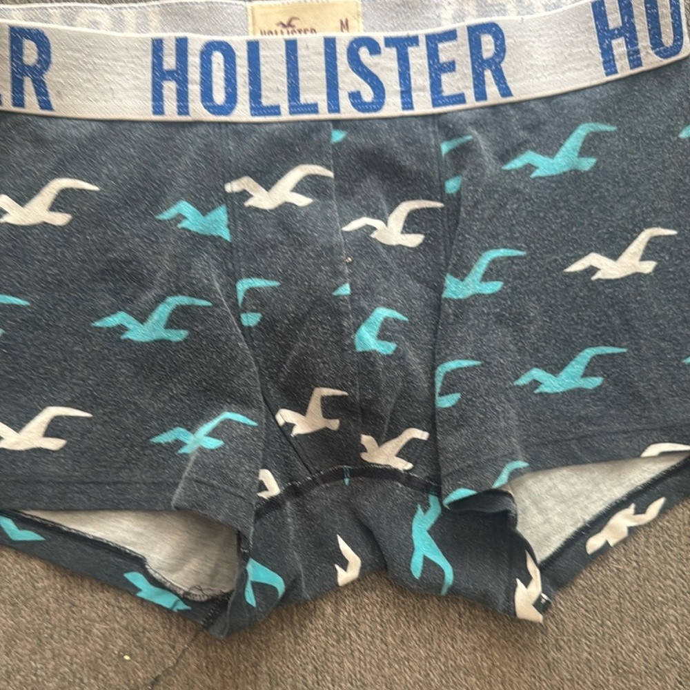 Hollister Men's Gray Boxer Briefs with Seagull Print